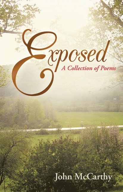 John McCarthy - Exposed, E-bok