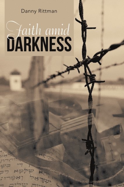 Danny Rittman - Faith Amid Darkness, E-bok
