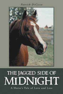 Patrick Dicicco - Jagged Side of Midnight, Häftad