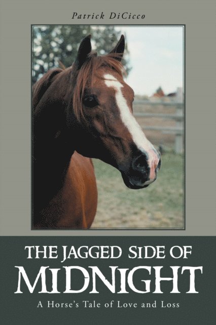 Patrick DiCicco - Jagged Side of Midnight, E-bok