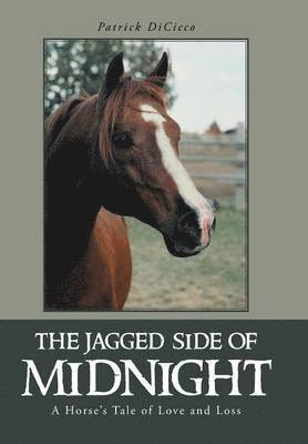 Patrick Dicicco - Jagged Side of Midnight, Inbunden