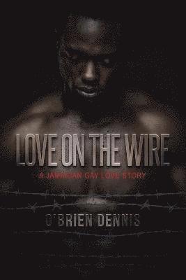 O'Brien Dennis - Love on the Wire, Häftad. Tillgänglighet: Lägg i varukorg