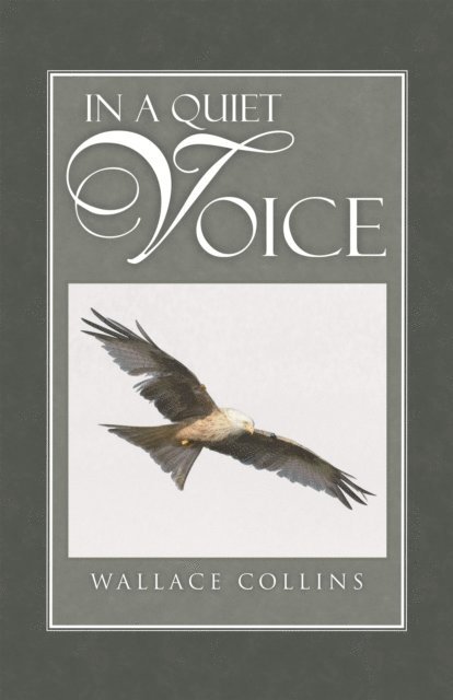 Wallace Collins - In a Quiet Voice, E-bok