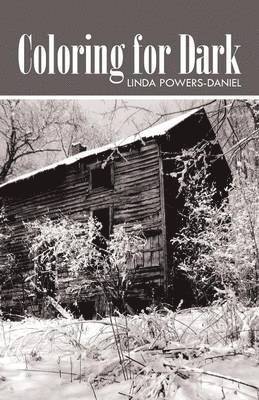 Linda Powers-Daniel - Coloring for Dark, Häftad. Tillgänglighet: Lägg i varukorg