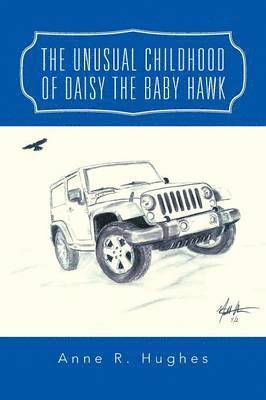Anne R Hughes - Unusual Childhood of Daisy the Baby Hawk, Häftad
