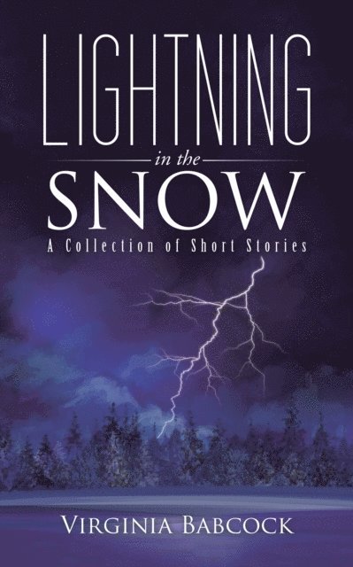 Virginia Babcock - Lightning in the Snow, E-bok