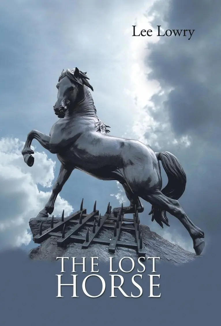 Lee Lowry - Lost Horse, Inbunden. Tillgänglighet: Lägg i varukorg