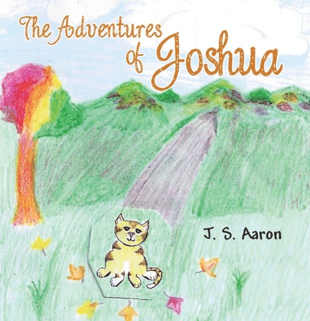 J. S. Aaron - Adventures of Joshua, E-bok