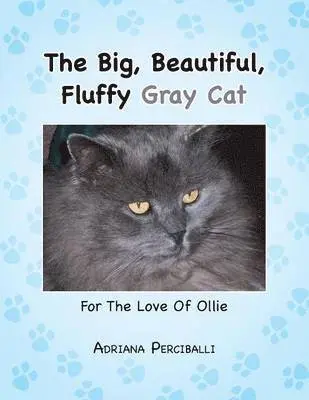 Adriana Perciballi - Big, Beautiful, Fluffy Gray Cat, Häftad. Tillgänglighet: Lägg i varukorg