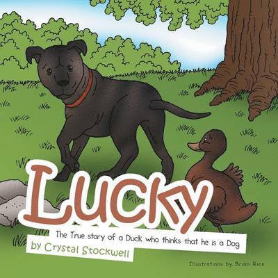 Crystal Stockwell - Lucky, Häftad. Tillgänglighet: Lägg i varukorg