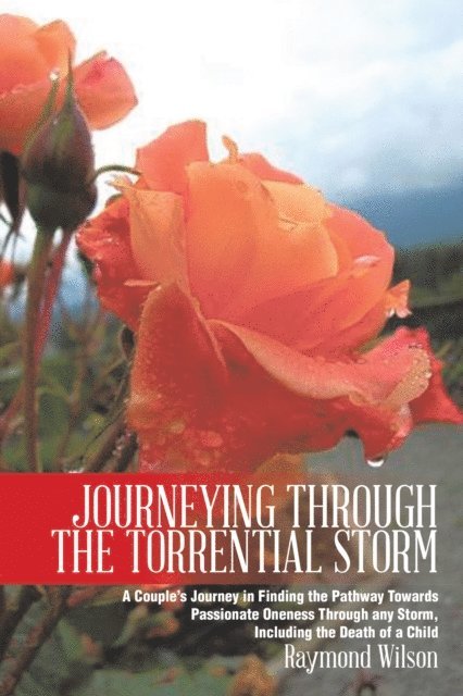 Raymond Wilson - Journeying Through the Torrential Storm, E-bok