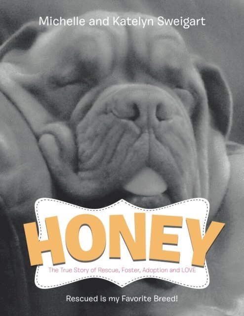 Katelyn Sweigart, Michelle - Honey, E-bok