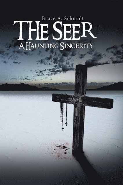 Bruce A. Schmidt - Seer, E-bok