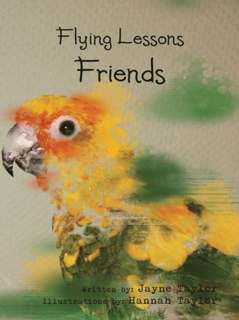 Jayne Taylor - Flying Lessons, E-bok