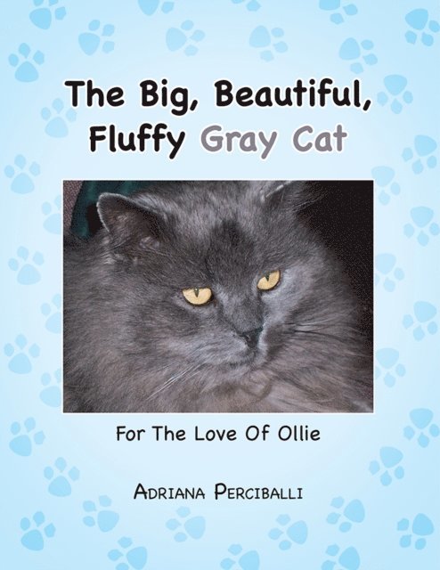 Big, Beautiful, Fluffy Gray Cat