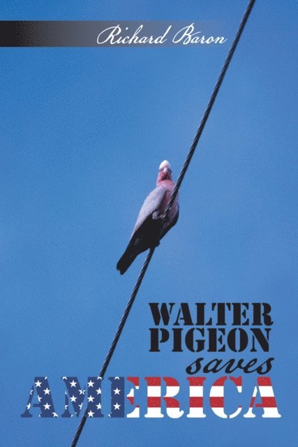 Richard Baron - Walter Pigeon Saves America, E-bok