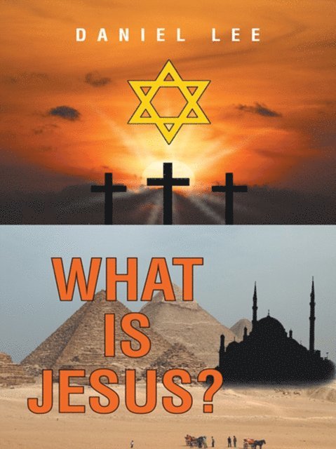 Daniel Lee - What Is Jesus?, E-bok