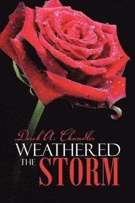 Derek A Chandler - Weathered the Storm, Häftad. Tillgänglighet: Lägg i varukorg