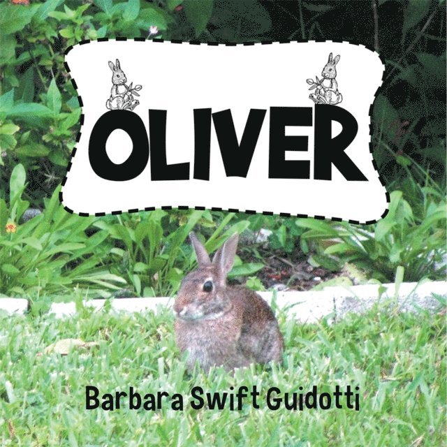 Barbara Swift Guidotti - Oliver, E-bok