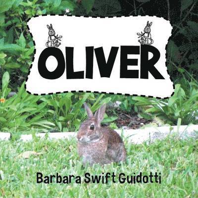 Barbara Swift Guidotti - Oliver, Häftad