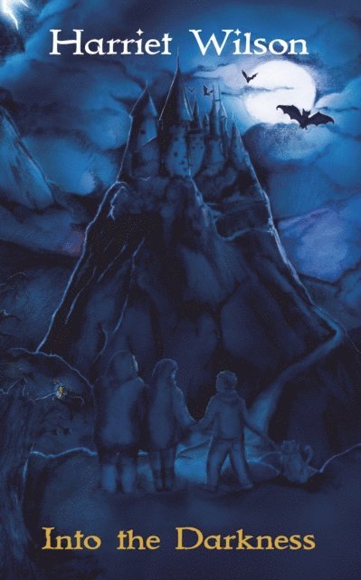 Harriet Wilson - Into the Darkness, E-bok