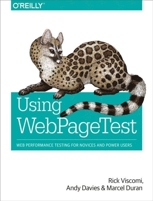 Marcel Duran, Andy Davies, Rick Viscomi - Using WebPageTest, E-bok