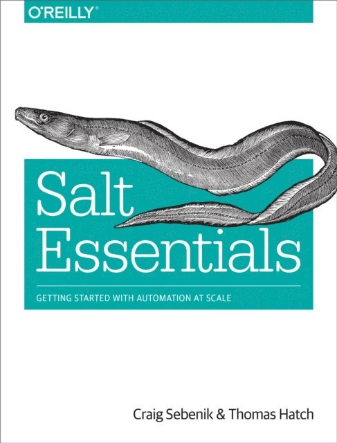 Thomas Hatch, Craig Sebenik - Salt Essentials, E-bok