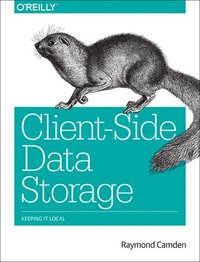 ClientSide Data Storage