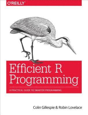 Robin Lovelace, Colin Gillespie - Efficient R Programming, E-bok