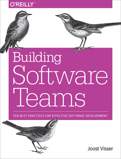 Zeeger Lubsen, Gijs Wijnholds, Sylvan Rigal, Joost Visser - Building Software Teams, E-bok