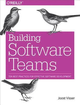 Zeeger Lubsen, Gijs Wijnholds, Sylvan Rigal, Joost Visser - Building Software Teams, E-bok