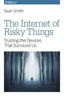 Sean Smith - Internet of Risky Things, E-bok