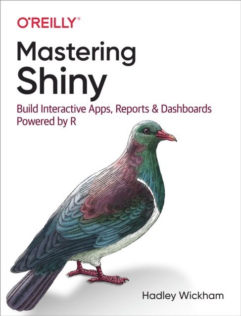 Hadley Wickham - Mastering Shiny, E-bok
