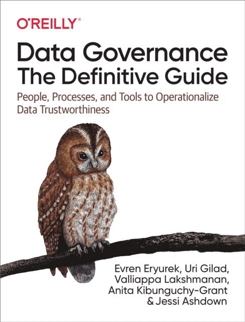 Jessi Ashdown, Anita Kibunguchy-Grant, Valliappa Lakshmanan, Uri Gilad, Evren Eryurek - Data Governance: The Definitive Guide, E-bok