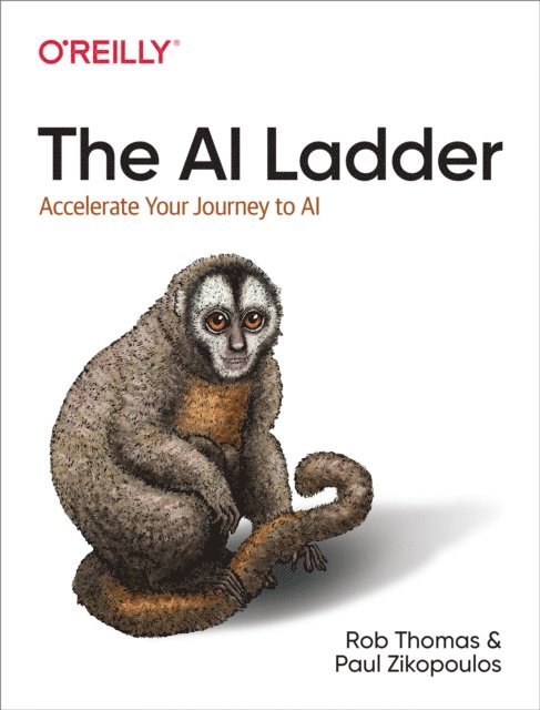 Paul Zikopoulos, Rob Thomas - AI Ladder, E-bok