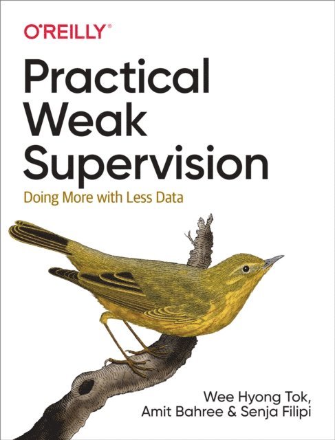Senja Filipi, Amit Bahree, Wee Hyong Tok - Practical Weak Supervision, E-bok