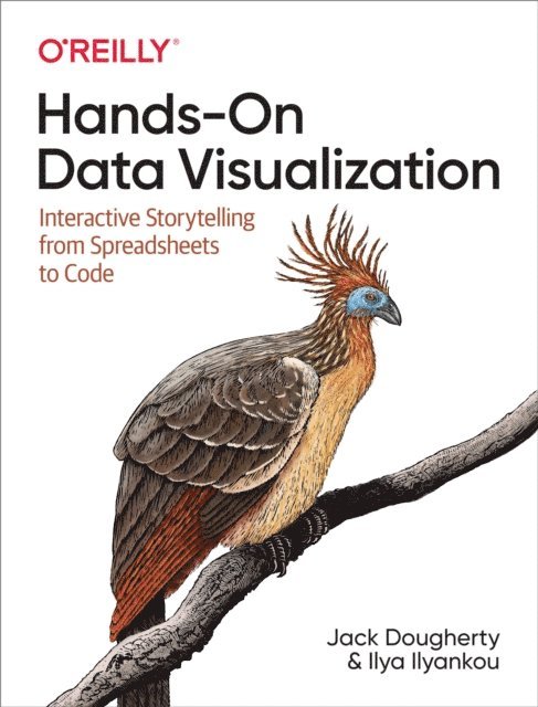 Ilya Ilyankou, Jack Dougherty - Hands-On Data Visualization, E-bok