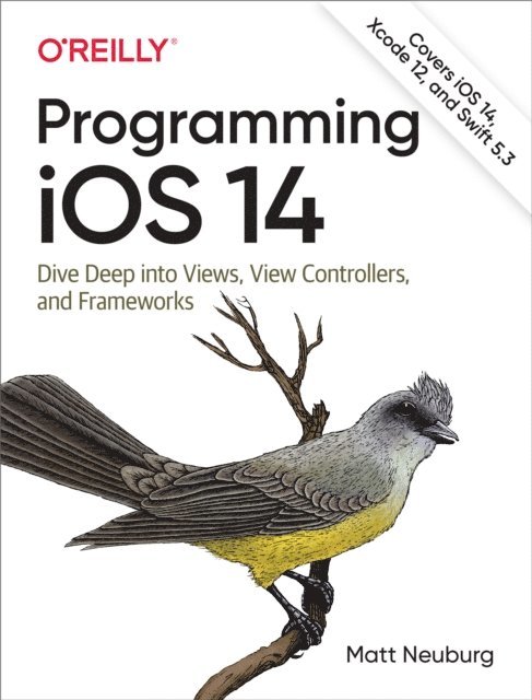 Matt Neuburg - Programming iOS 14, E-bok