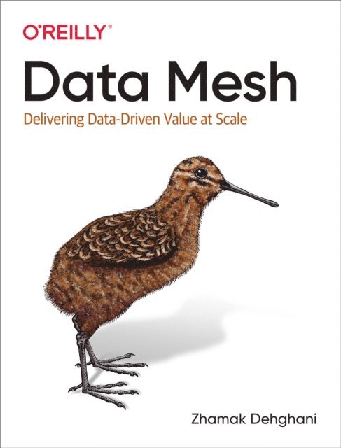 Zhamak Dehghani - Data Mesh, E-bok
