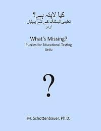 What's Missing? Puzzles for Educational Testing: Urdu
