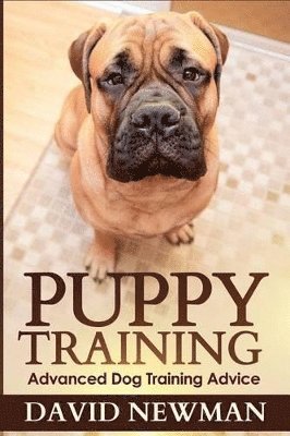 David Newman - Puppy Training, Häftad. Tillgänglighet: Lägg i varukorg