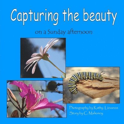 C Mahoney - Capturing the beauty, Häftad. Tillgänglighet: Lägg i varukorg