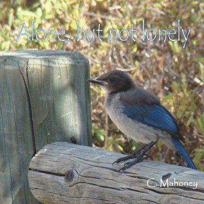 C Mahoney - Alone, but not lonely, Häftad. Tillgänglighet: Lägg i varukorg