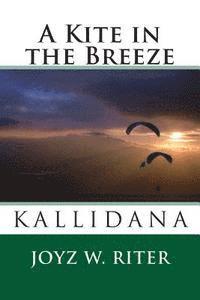 Joyz W. Riter - A Kite in the Breeze, Häftad. Tillgänglighet: Lägg i varukorg