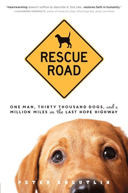 Peter Zheutlin - Rescue Road, E-bok. Tillgänglighet: Lägg i varukorg