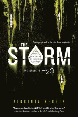 Virginia Bergin - The Storm, Häftad