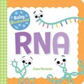 Baby Biochemist: RNA
