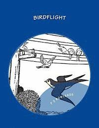 P. S. Rowlands - Birdflight: A Science Drama Playscript, Häftad
