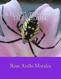 Rose Aiello-Morales - A Slant Towards the Middle, Häftad. Tillgänglighet: Lägg i varukorg