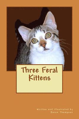 Karen Thompson - Three Feral Kittens, Häftad